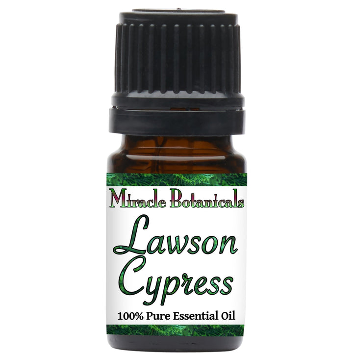 Cypress (Lawson) Essential Oil (Chamaecyparis Lawsoniana) - Miracle Botanicals Essential Oils