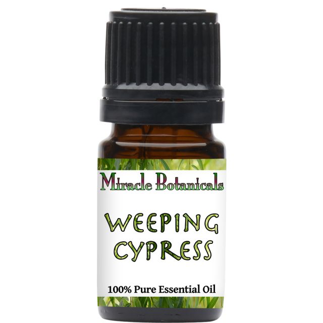 Cypress (Weeping) (Cupressus Funebris) - Miracle Botanicals Essential Oils