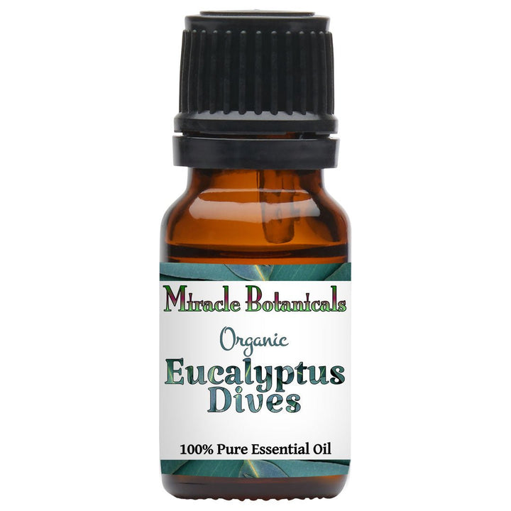 Eucalyptus Dives Essential Oil - Organic (Eucalyptus Dives) - Miracle Botanicals Essential Oils