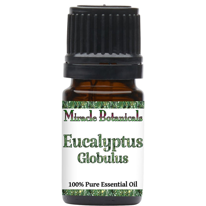 Eucalyptus Globulus Essential Oil (Eucalyptus Globulus) - Miracle Botanicals Essential Oils