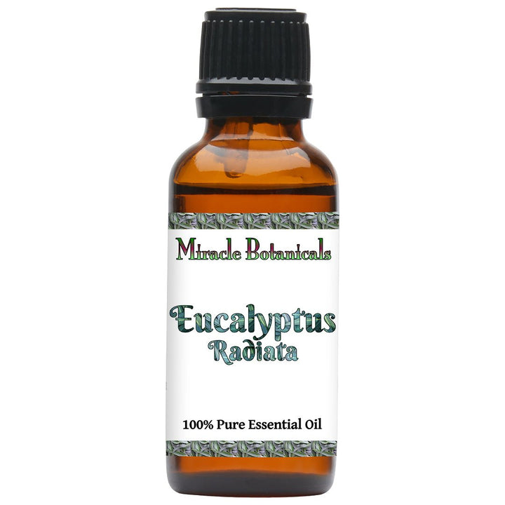 Eucalyptus Radiata Essential Oil (Eucalyptus Radiata) - Miracle Botanicals Essential Oils