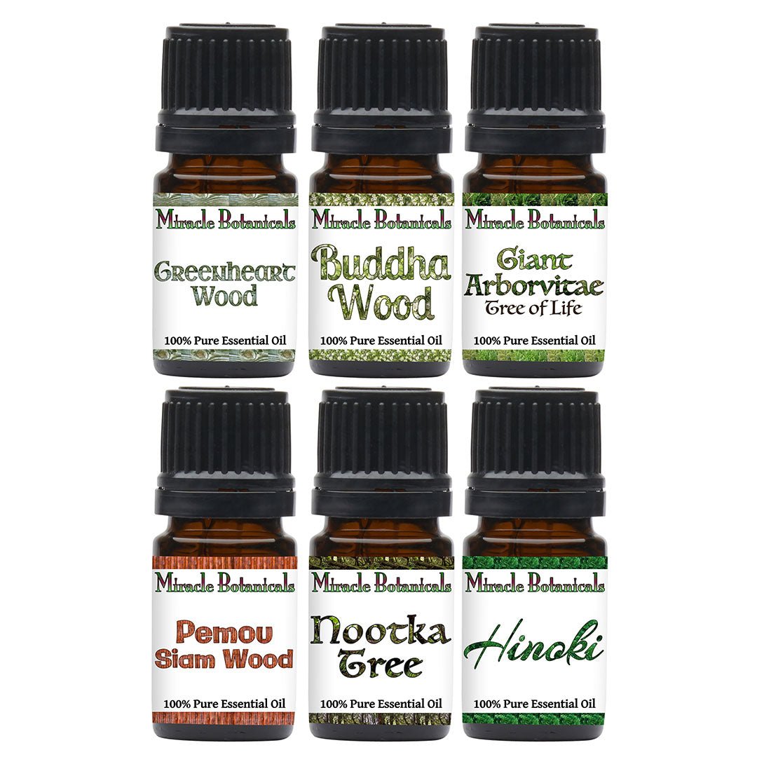 Exotic Essential Oil Wood Sampler Set - 6 Traditional Revered Wood Oils - Miracle Botanicals Essential Oils