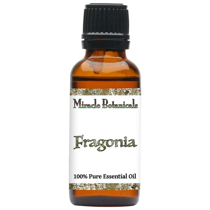 Fragonia Essential Oil (Taxandria Fragrans) - Miracle Botanicals Essential Oils