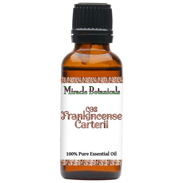 Frankincense Carterii Essential Oil - CO2 Extracted (Boswellia Carterii) - Miracle Botanicals Essential Oils