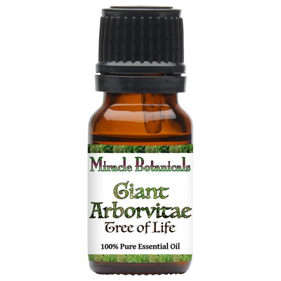 Giant Arborvitae Essential Oil (Thuja Plicata)
