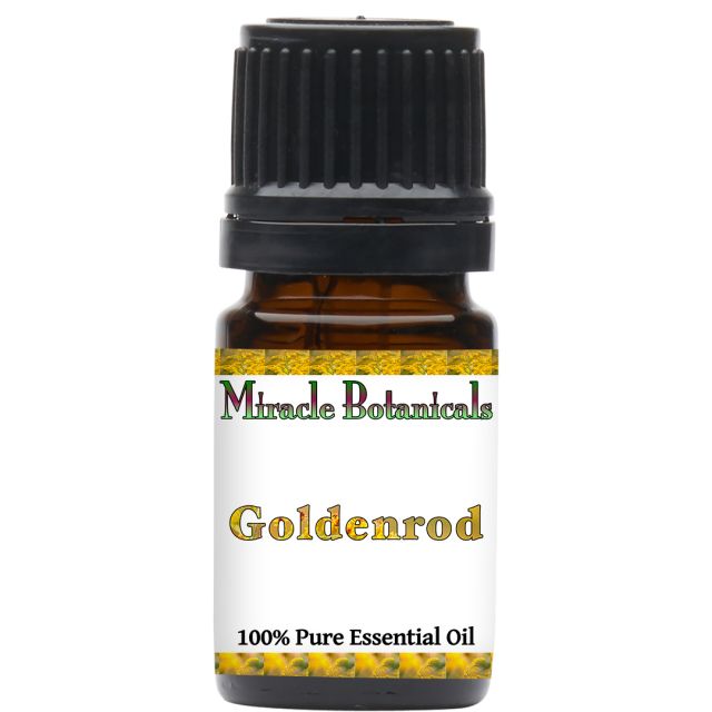 Goldenrod Essential Oil (Solidago Canadensis) - Miracle Botanicals Essential Oils