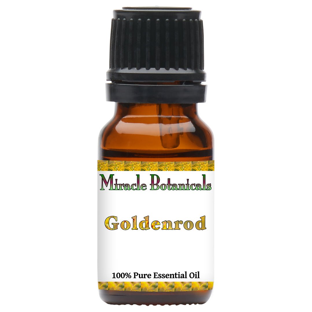 Goldenrod Essential Oil (Solidago Canadensis) - Miracle Botanicals Essential Oils