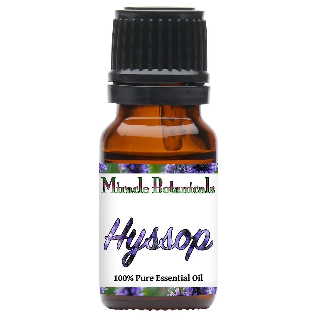 Hyssop Essential Oil (Hyssopus officinalis) - Miracle Botanicals Essential Oils