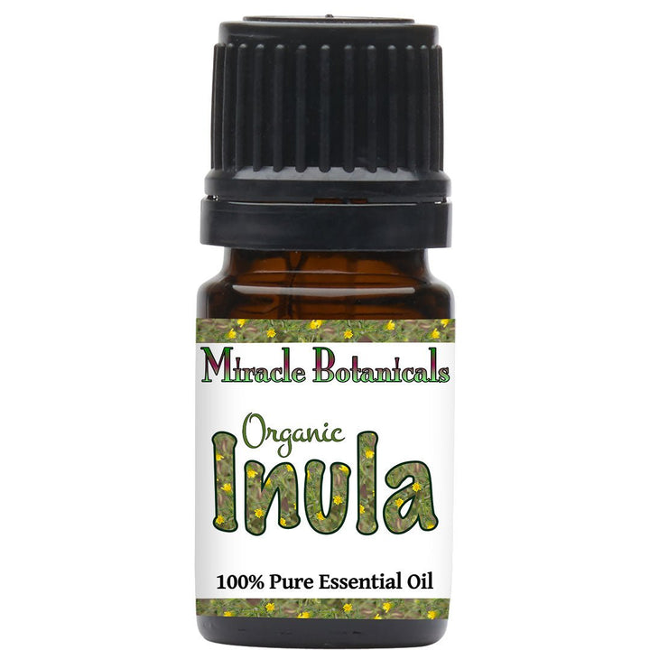Inula Essential Oil - Organic - Fragrant Aster (Dittrichia graveolens (L.) Greuter (Syn : Inula graveolens Desf.) - Miracle Botanicals Essential Oils