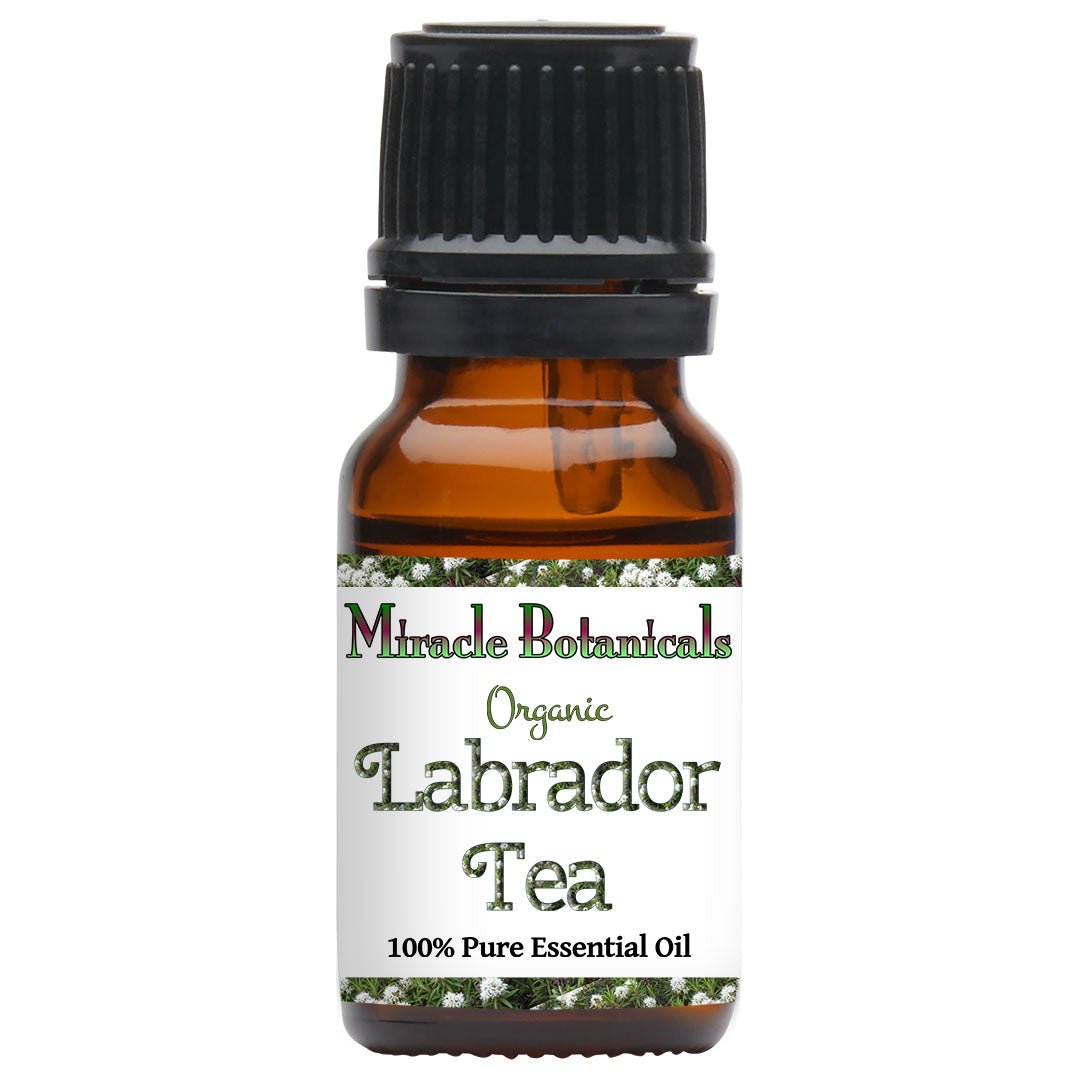 Labrador Tea (Ledum) Essential Oil - Organic (Ledum Groenlandicum) - Miracle Botanicals Essential Oils