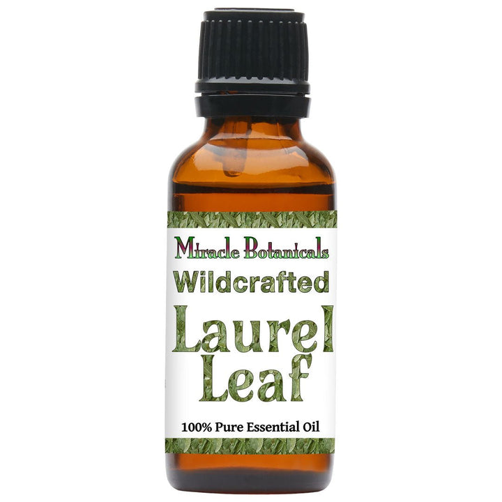 Laurel Leaf Essential Oil - Wildcrafted (Laurus Nobilis) - Miracle Botanicals Essential Oils