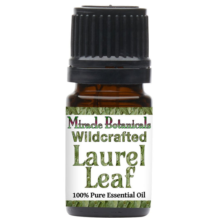 Laurel Leaf Essential Oil - Wildcrafted (Laurus Nobilis) - Miracle Botanicals Essential Oils