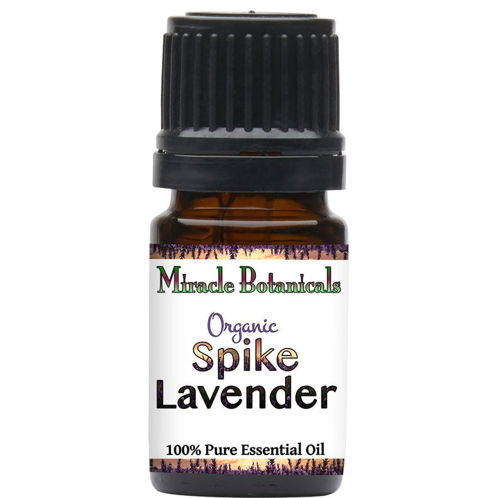 Lavender (Spike) Essential Oil - Organic (Lavandula Latifolia Medikus) - Miracle Botanicals Essential Oils