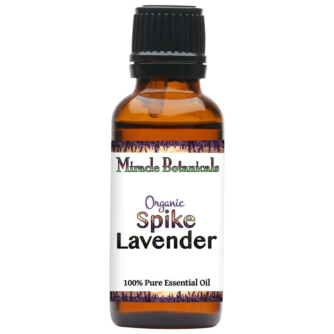 Lavender (Spike) Essential Oil - Organic (Lavandula Latifolia Medikus) - Miracle Botanicals Essential Oils