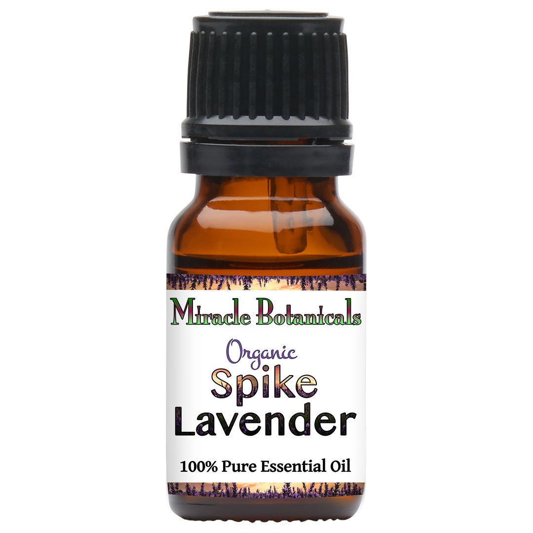 Lavender (Spike) Essential Oil - Organic (Lavandula Latifolia Medikus) - Miracle Botanicals Essential Oils