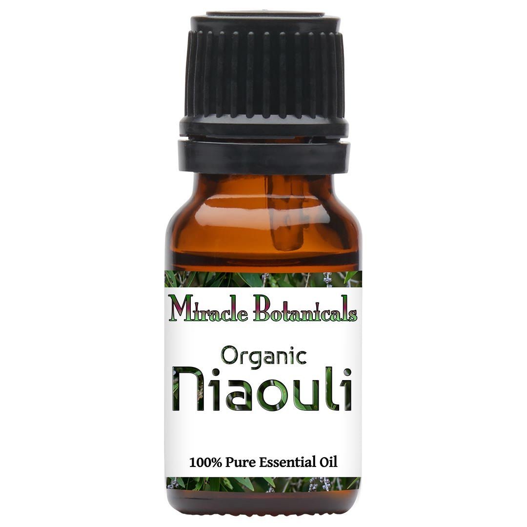 Niaouli Essential Oil - Organic (Melaleuca Quinquenervia) - Miracle Botanicals Essential Oils