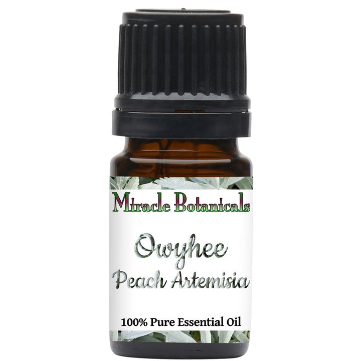 Owyhee Essential Oil - Peach Artemisia (Artemisia Ludoviciana) - Miracle Botanicals Essential Oils