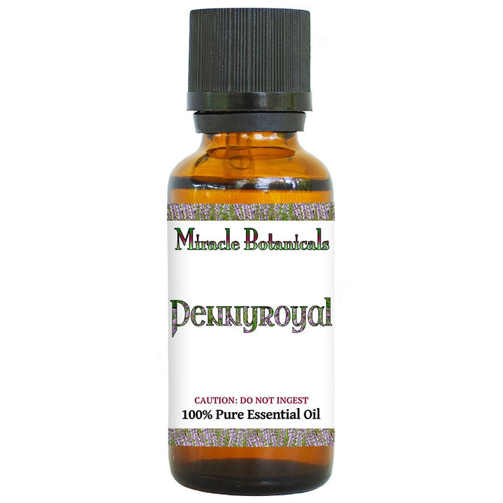 Pennyroyal Essential Oil - Wildcrafted (Mentha Pulegium) - Miracle Botanicals Essential Oils