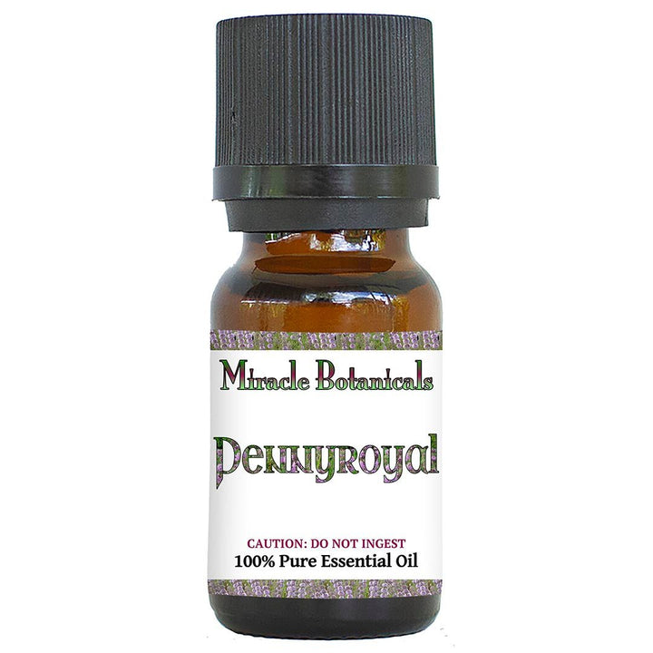 Pennyroyal Essential Oil - Wildcrafted (Mentha Pulegium) - Miracle Botanicals Essential Oils