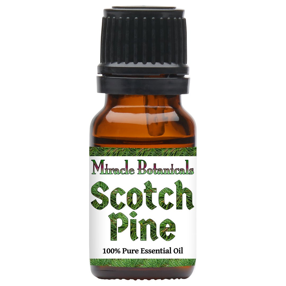 Pine (Scotch) Essential Oil (Pinus Sylvestris) - Miracle Botanicals Essential Oils