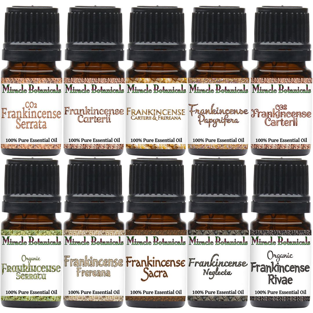 Premium Frankincense Essential Oil Sampler Set - 10 Different Varieties of Frankincense - Miracle Botanicals Essential Oils