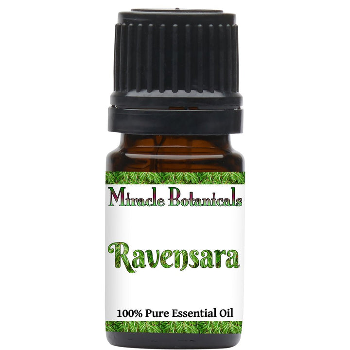 Ravensara Essential Oil (Ravensara Aromatica) - Miracle Botanicals Essential Oils