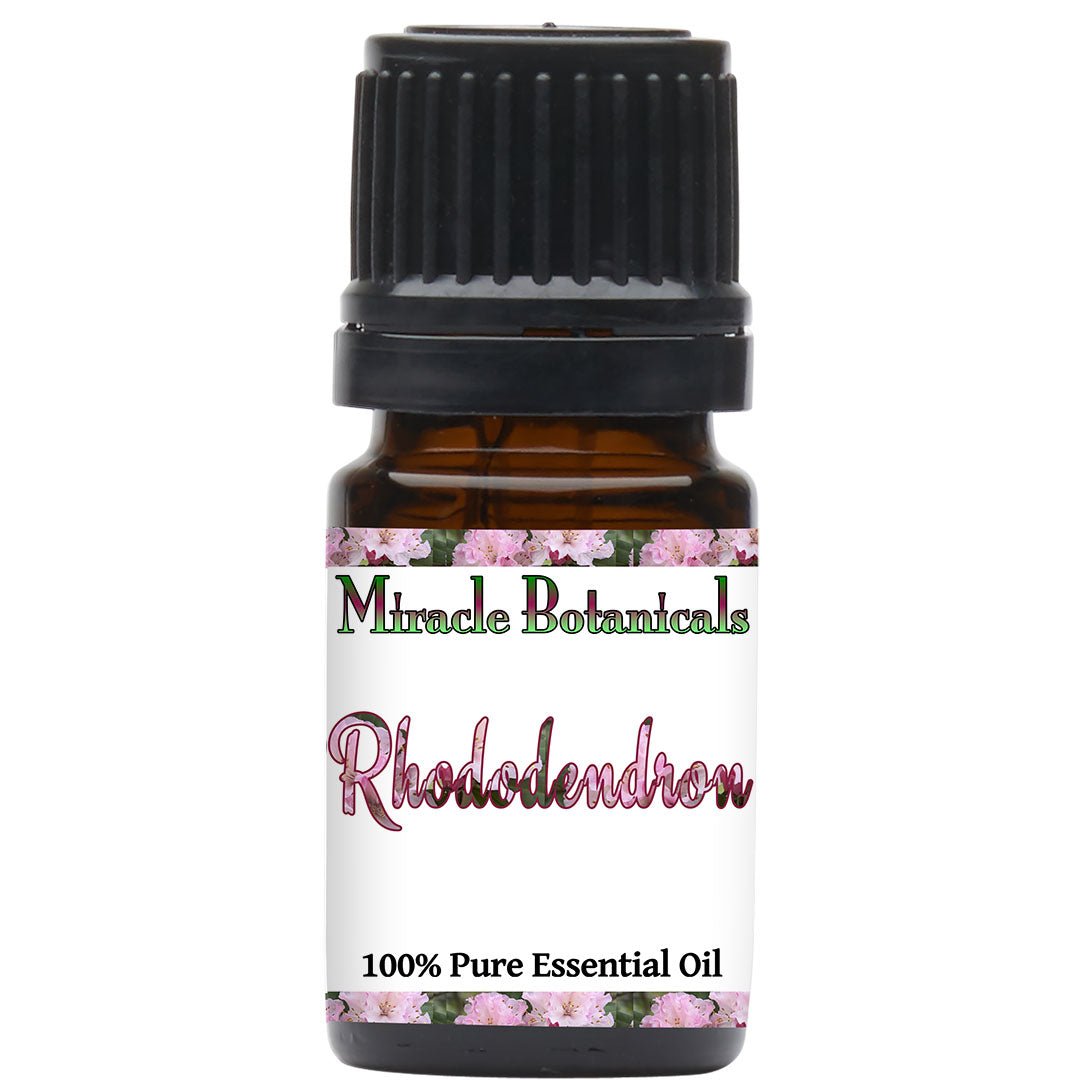 Rhododendron Essential Oil (Rhododendron anthopogon) - Miracle Botanicals Essential Oils