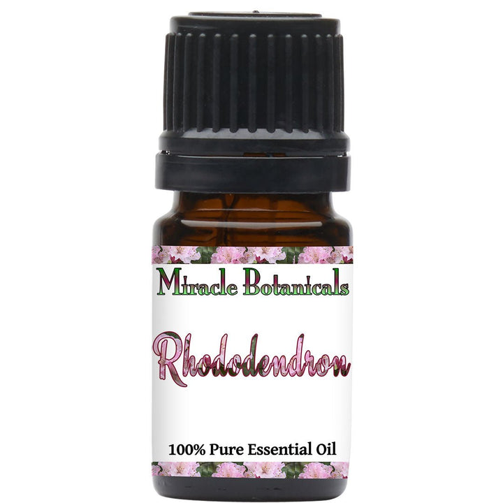 Rhododendron Essential Oil (Rhododendron anthopogon) - Miracle Botanicals Essential Oils