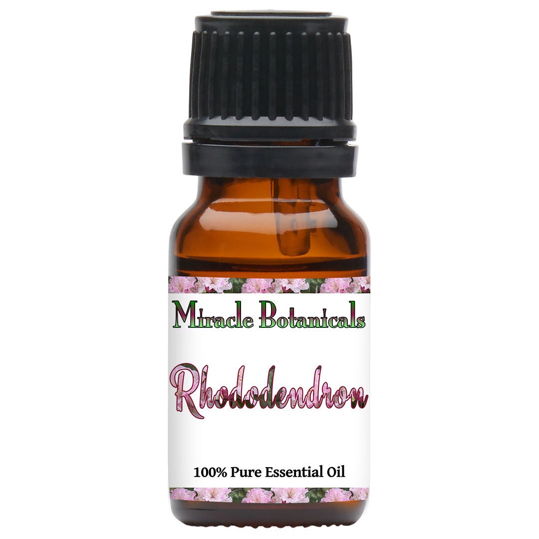 Rhododendron Essential Oil (Rhododendron anthopogon) - Miracle Botanicals Essential Oils