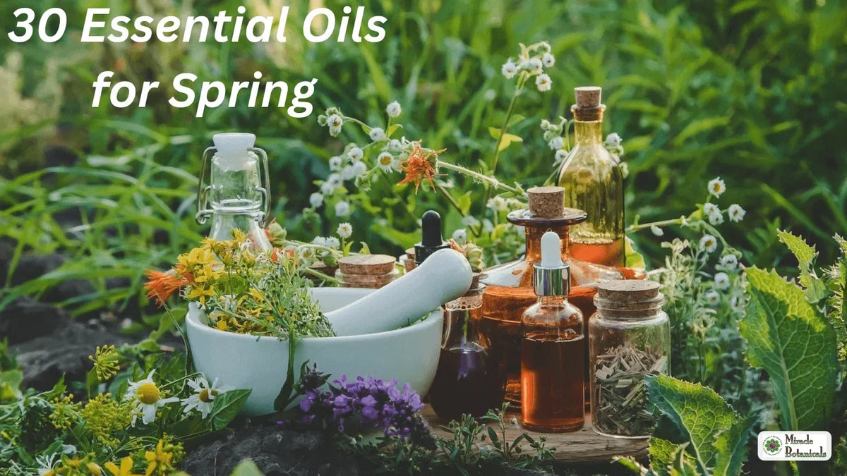 Glass bottles of oil, a mortar and pestle and fresh herbs in a flowering meadow, with text: 30 Essential Oils for Spring