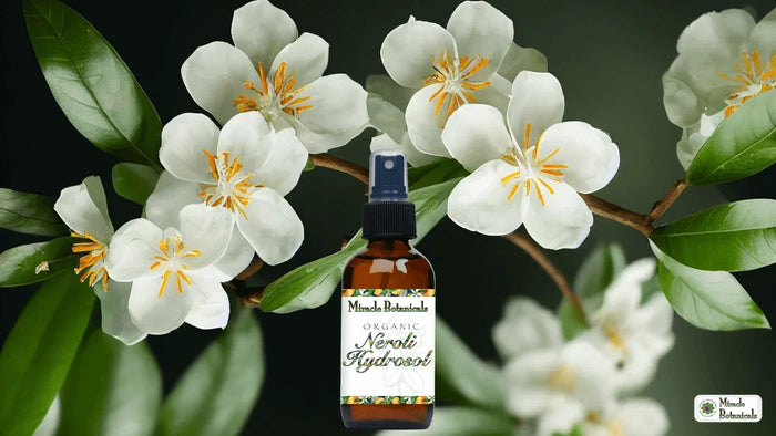 Miracle Botanicals Organic Neroli Hydrosol spray bottle in front of white blossoms on a leafy branch
