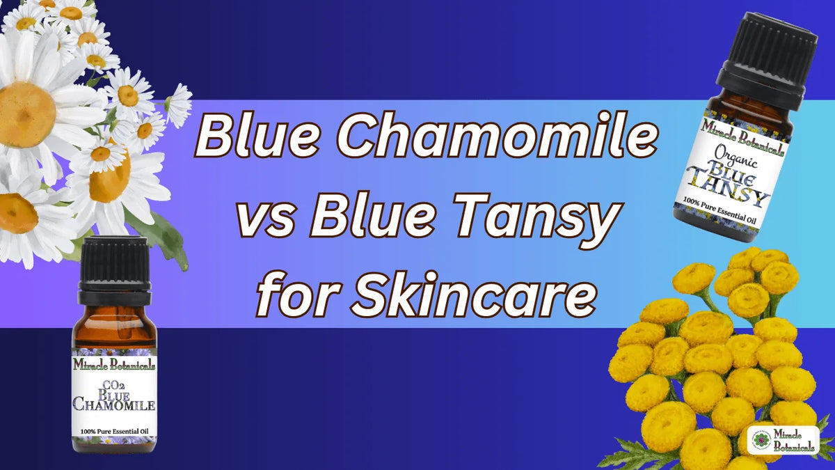 CO2 Blue Chamomile and Organic Blue Tansy bottles with chamomile and tansy flowers, with text: Blue Chamomile vs Blue Tansy for Skincare