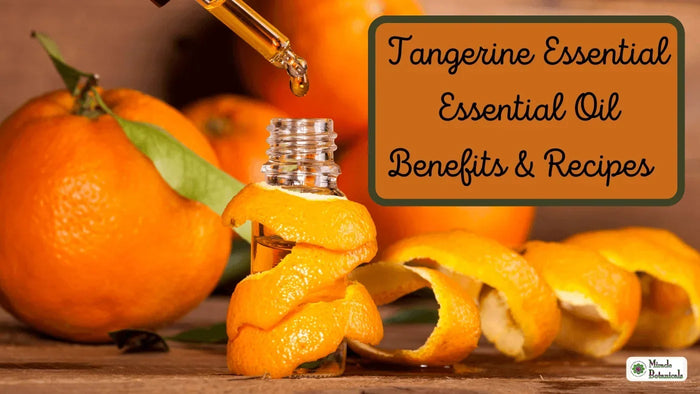 Dropper over a glass bottle wrapped in tangerine peel beside whole tangerines, with text: Tangerine Essential Oil Benefits & Recipes