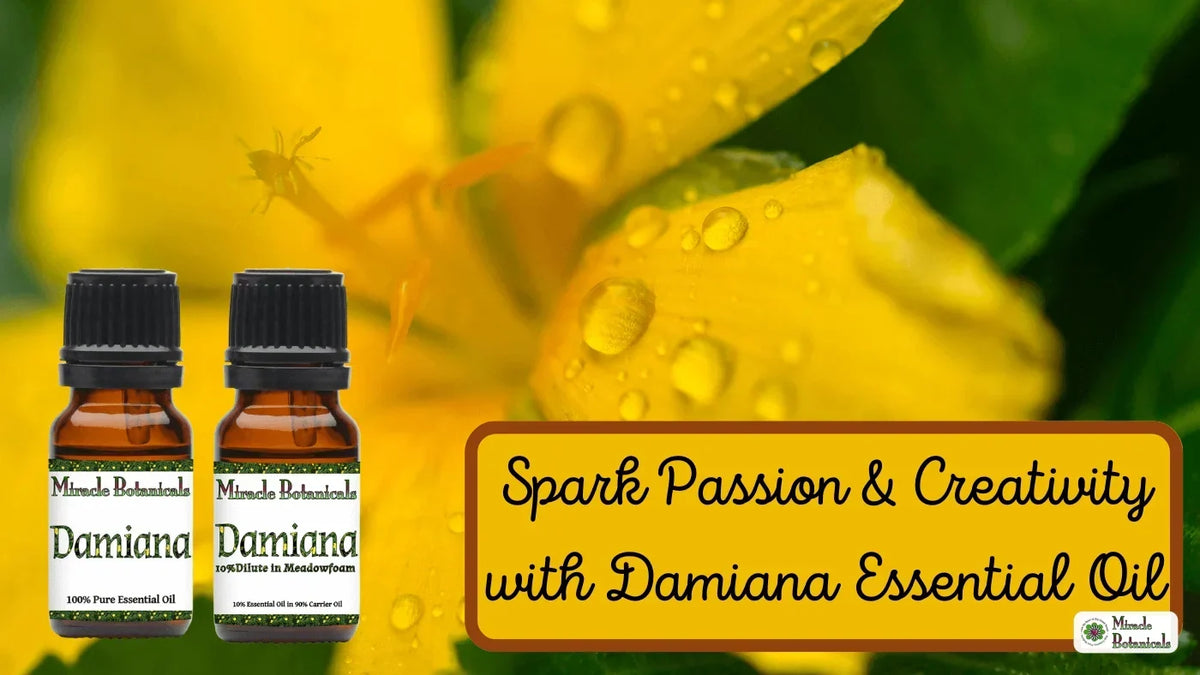 Two Damiana bottles, pure and diluted, before a yellow flower with water drops, with text: Spark Passion & Creativity with Damiana