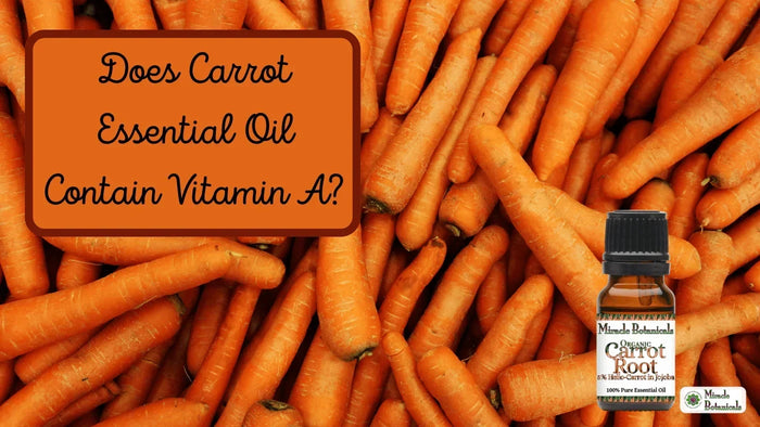 Organic Carrot Root oil bottle on a pile of fresh carrots, with text: Does Carrot Essential Oil Contain Vitamin A?