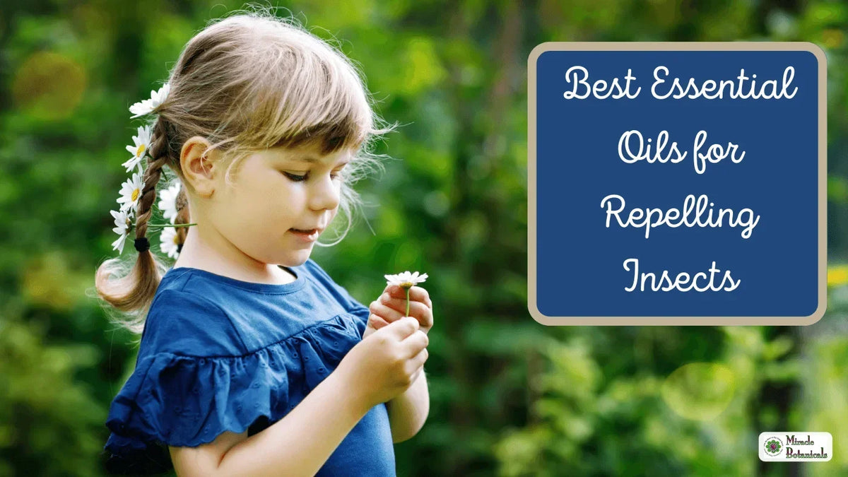 Young girl with daisies in her braided hair holding a daisy outdoors, with text: Best Essential Oils for Repelling Insects