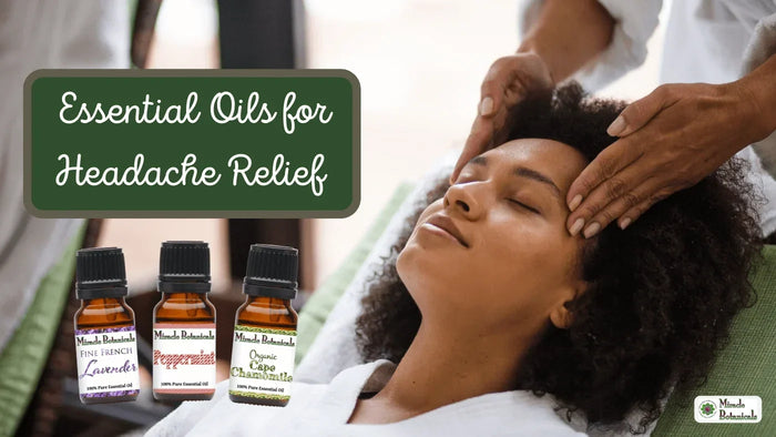 Woman getting a head massage beside Fine French Lavender, Peppermint and Organic Cape Chamomile bottles, text: Essential Oils for Headache Relief