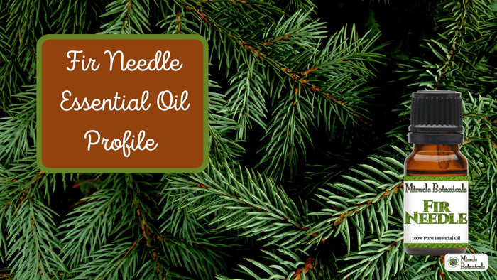 Fir Needle essential oil bottle among green fir branches, with text: Fir Needle Essential Oil Profile