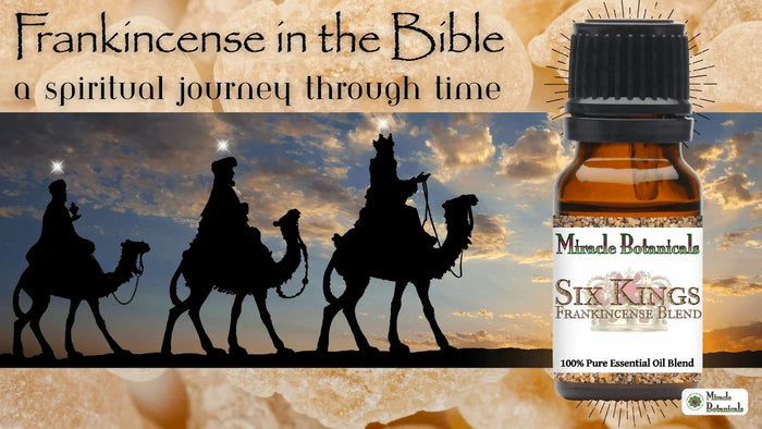 Silhouettes of three wise men on camels at sunset beside a Six Kings Frankincense Blend bottle, with text: Frankincense in the Bible