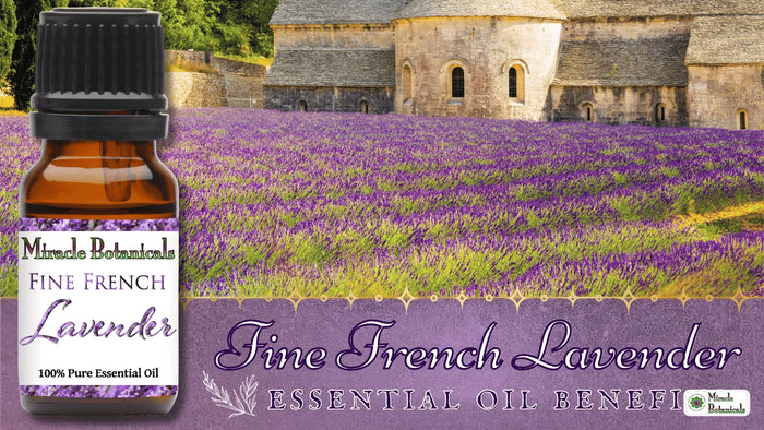 Fine French Lavender essential oil bottle in front of a lavender field and a stone abbey