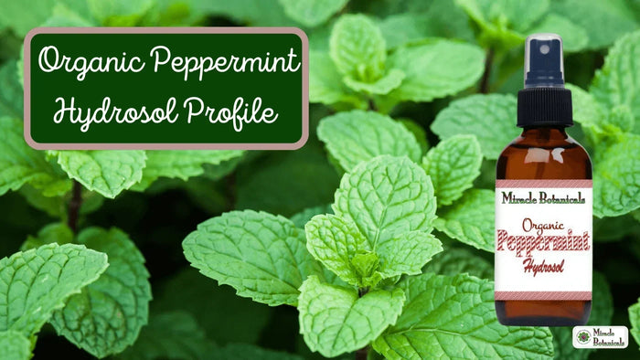 Organic Peppermint Hydrosol spray bottle among fresh mint leaves, with text: Organic Peppermint Hydrosol Profile