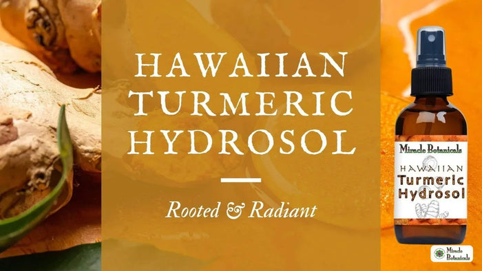 Hawaiian Turmeric Hydrosol rooted and radiant with fresh turmeric rhizome and bottle of Hawaiian Turmeric Hydrosol by Miracle Botanicals