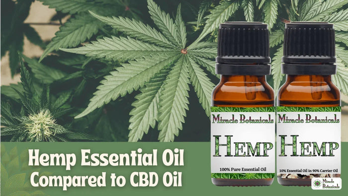 Hemp essential oil and 10% Hemp dilution bottles in front of hemp leaves, with text: Hemp Essential Oil Compared to CBD Oil