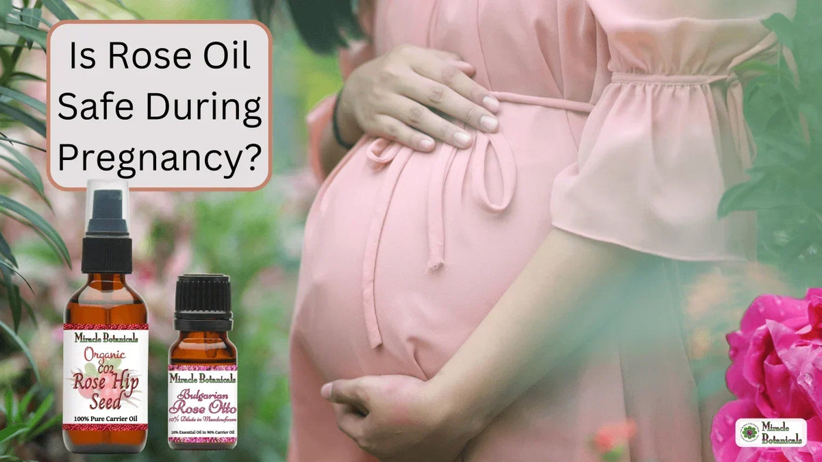 Pregnant woman cradling her belly beside Rose Hip Seed and Bulgarian Rose Otto bottles, with text: Is Rose Oil Safe During Pregnancy?