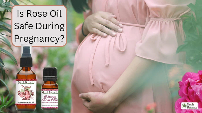 Pregnant woman cradling her belly beside Rose Hip Seed and Bulgarian Rose Otto bottles, with text: Is Rose Oil Safe During Pregnancy?