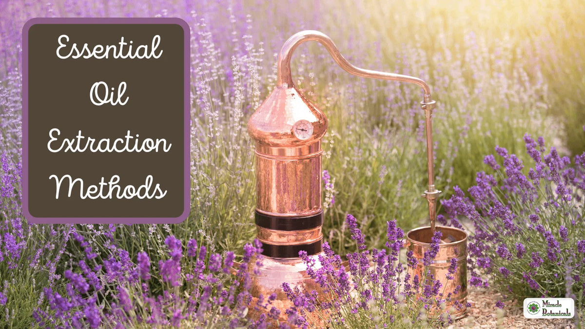 Copper essential oil still standing in a field of lavender