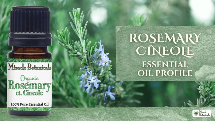 Organic Rosemary Cineole essential oil bottle with fresh flowering rosemary
