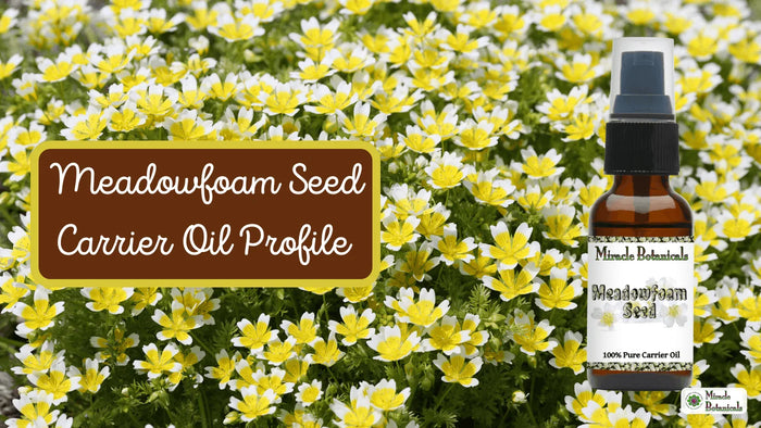 Meadowfoam Seed carrier oil spray bottle in a field of yellow and white meadowfoam flowers, with text: Meadowfoam Seed Carrier Oil Profile