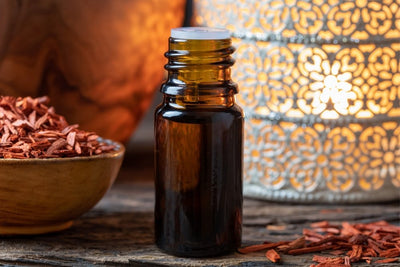 Turpentine Uses - Pinus Pinaster  Miracle Botanicals Blog– Miracle  Botanicals Essential Oils