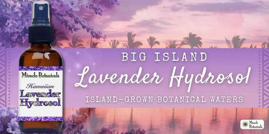 Big Island Lavender Hydrosol
